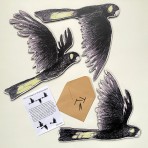 Bridget Farmer | Wall Decorations | Yellow-tailed Black Cockatoos | Set of 3
